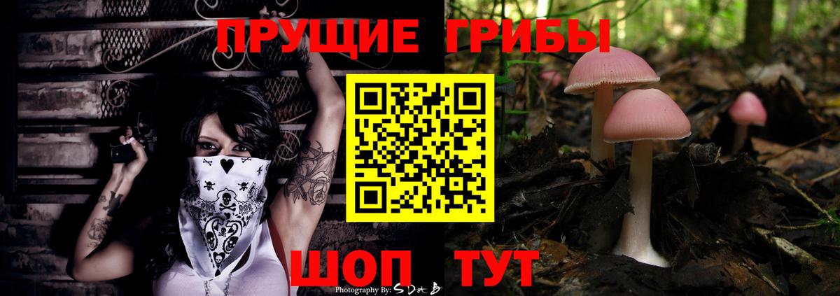 Ирбит  Псилоцибиновые грибы мухоморы  Вход с VPN  Псилоцибиновые грибы Cubensis 
